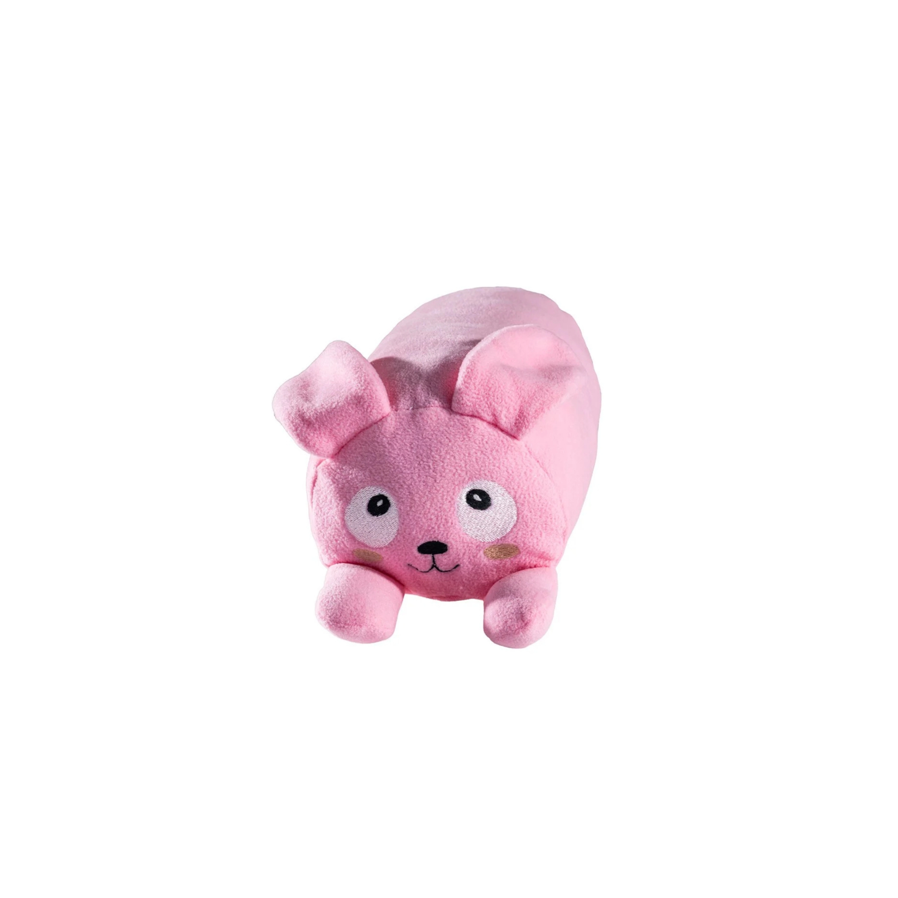 Bunny Oyun Arkadaşı