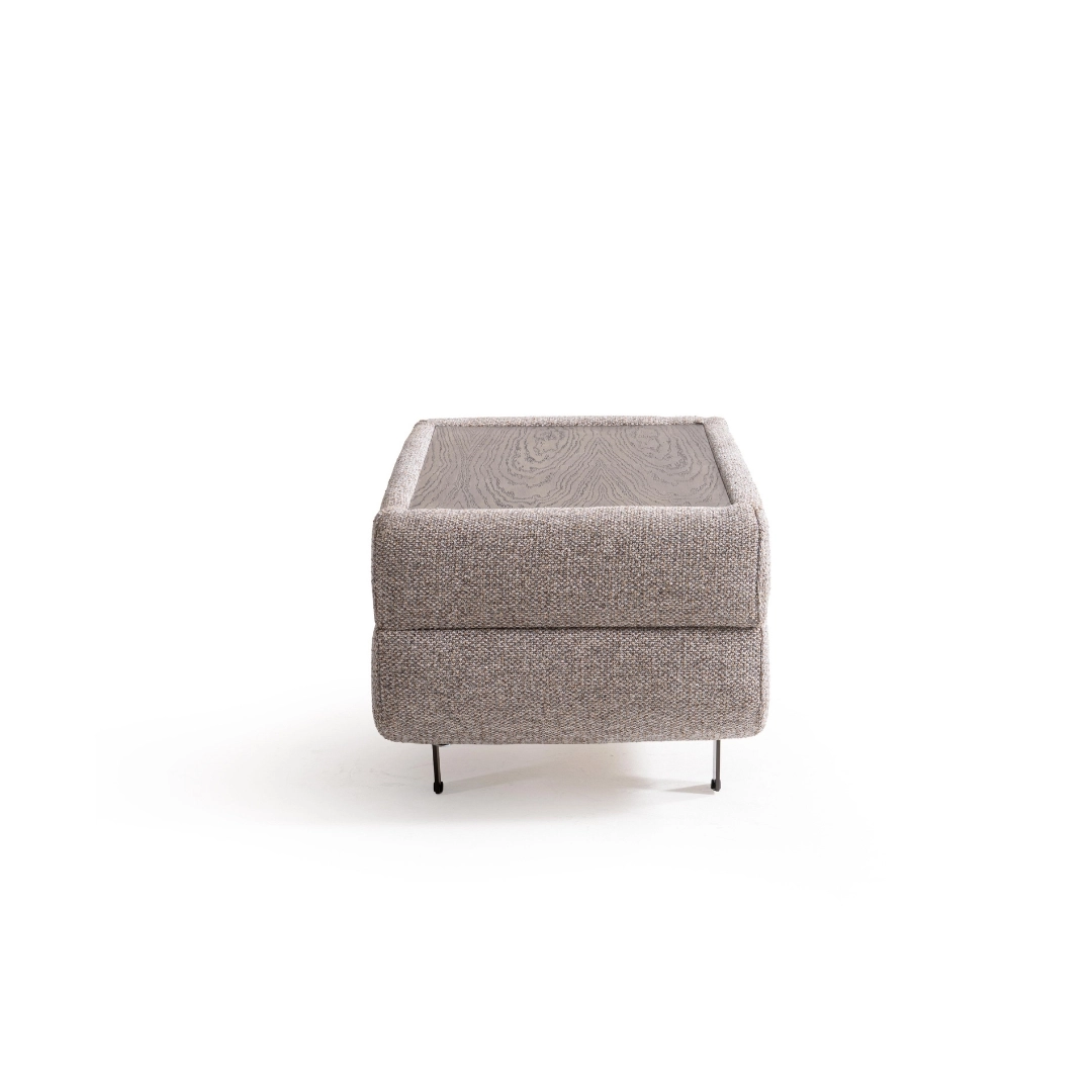 Moss Ara Modül