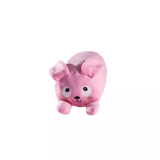 Bunny Oyun Arkadaşı